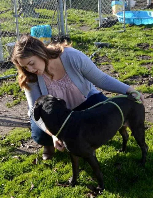 Charmaine Nawrocki and pit bull, Jesse, at the Humane Society of Cowlitz County.