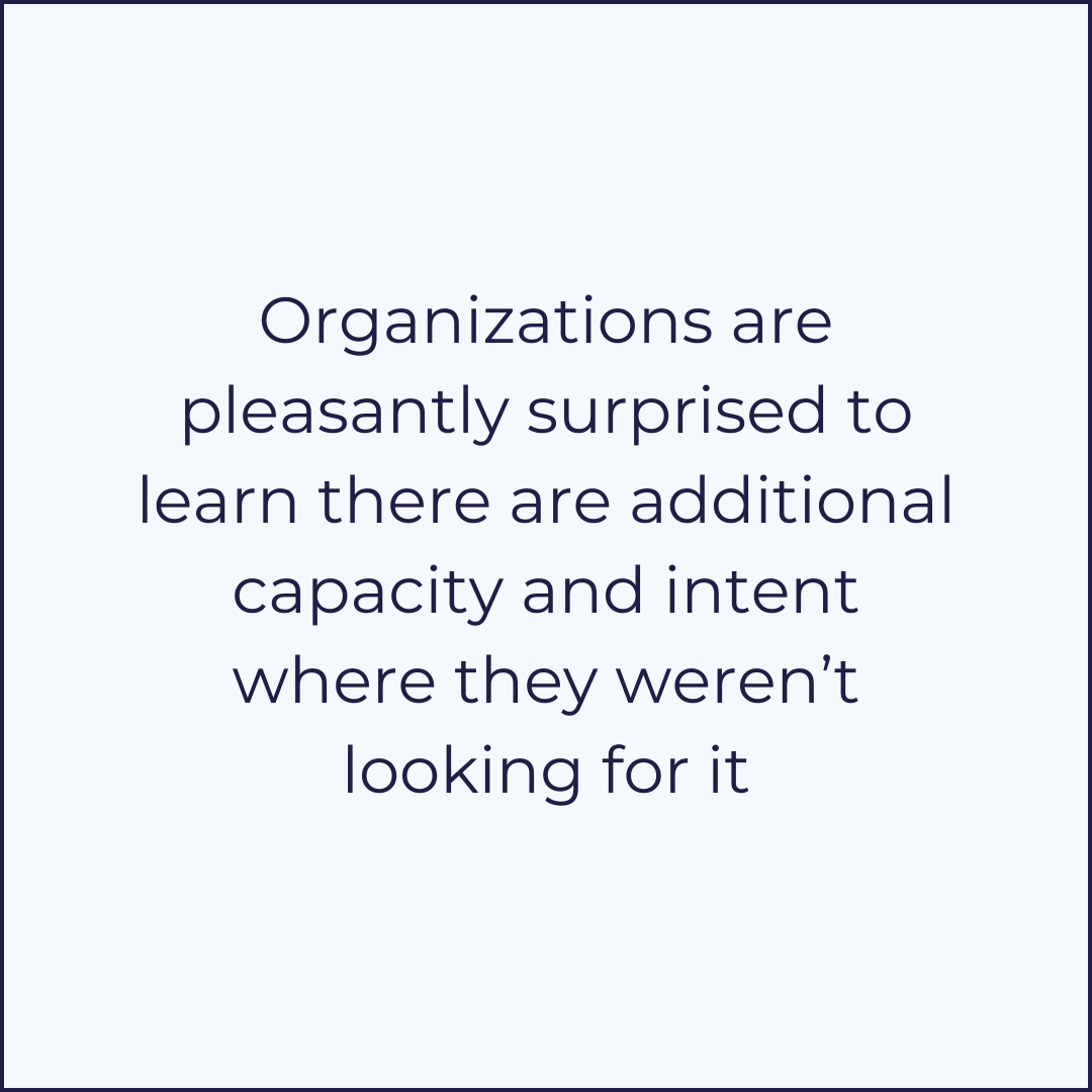 nonprofit organization capacity fundraising strategy